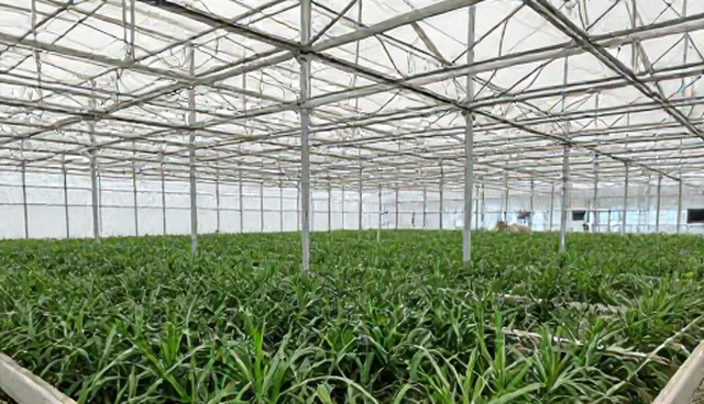 水电系统改造中如何避免施工质量问题?